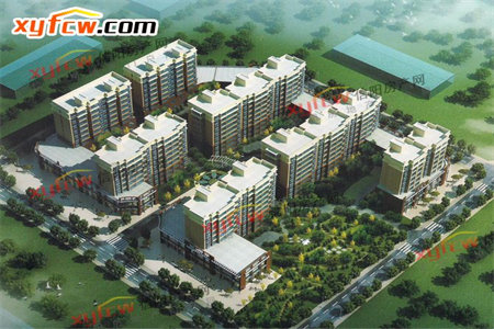 金鼎国际3室2厅1卫55万100m2毛坯出售